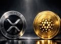 XRP vs Cardano: Which Crypto Could Deliver Better Returns by 2029 – Here Is the Key Difference