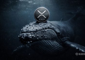 XRP Whales Accumulate as Volatility Tightens – Here Is Why a Crypto Breakout May Be Near