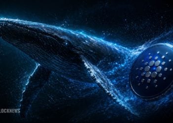ADA Sees Heavy Whale Buying Amid Consolidation – Here Is What This Crypto Trend Means