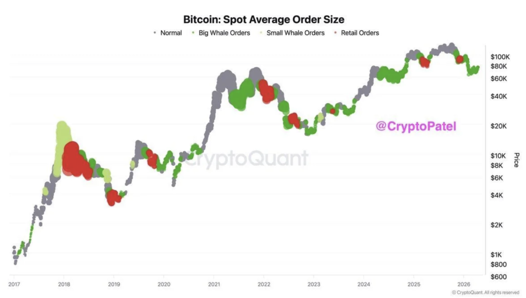 Bitcoin Whale Accumulation Surges – Right here Is Why BTC Might Be Gearing for K – BlockNews Bitcoin Whale Accumulation Surges – Right here Is Why BTC Might Be Gearing for K – BlockNews