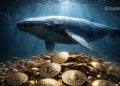 Bitcoin Whale Accumulation Surges – Here Is Why BTC Could Be Gearing for $80K