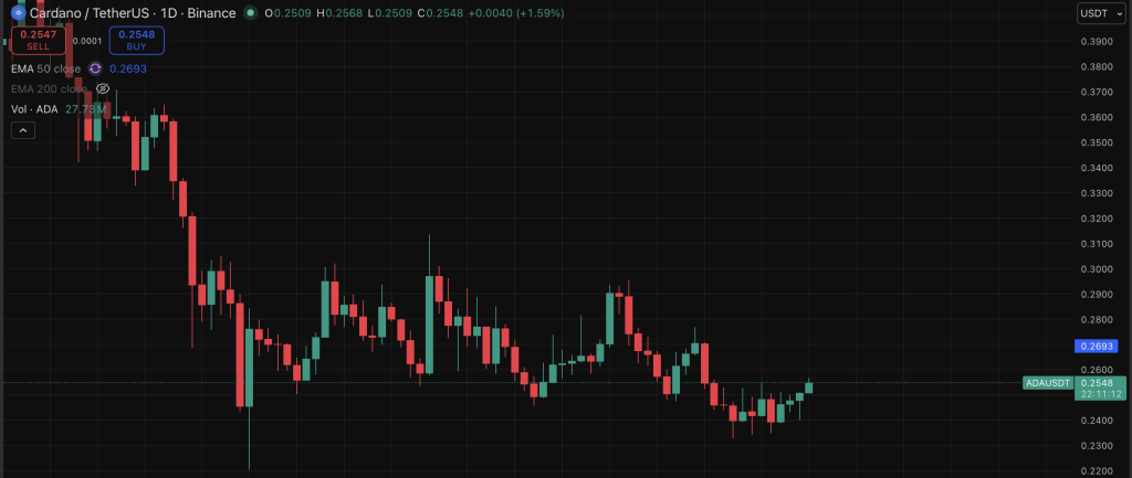 Cardano Crypto Exams Weak alt= Cardano Crypto Exams Weak alt=
