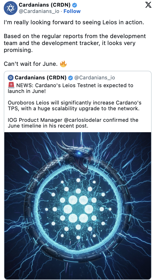 Cardano Exhausting Fork and Leios Improve – Right here Is What May Change for ADA – BlockNews Cardano Exhausting Fork and Leios Improve – Right here Is What May Change for ADA – BlockNews