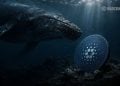 Cardano Crypto Holds Key Support Near $0.24 – Here Is Why Accumulation May Be Building