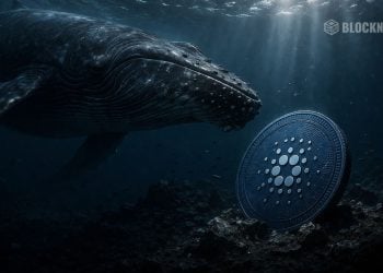 Cardano Crypto Holds Key Support Near $0.24 – Here Is Why Accumulation May Be Building