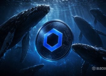 Chainlink Crypto Whale Accumulation Grows Quietly - Here Is What Rising LINK Wallets Could Mean