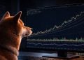 Dogecoin Price Stalls – Here Is Why DOGE Could Be Gearing Up for a Big Move