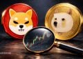 Dogecoin vs Shiba Inu Crypto Debate - Here Is Which Meme Coin Looks Safer
