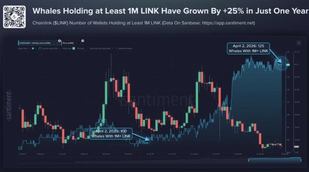Link Whales