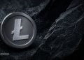 Litecoin Hit by Zero-Day Exploit and Network Reorg - Here Is What This Crypto Incident Means