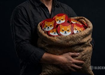 Shiba Inu SHIB Holds Key Level With Growing Accumulation Signals Here Is What Comes Next