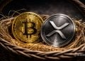 XRP Crypto and Diversification Trends in 2026 – Here Is What Investors Should Do