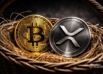 XRP Crypto and Diversification Trends in 2026 – Here Is What Investors Should Do