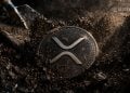XRP Crypto Consolidation Signals Big Move Ahead – Here Is What Traders Expect