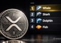 XRP Crypto Holder Rankings Spark Community Buzz - Here Is Why Timing Matters