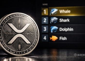 XRP Crypto Holder Rankings Spark Community Buzz – Here Is Why Timing Matters