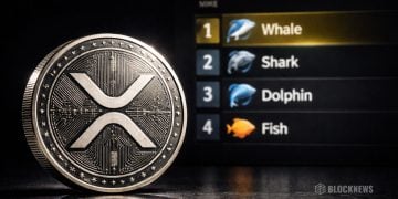 XRP Crypto Holder Rankings Spark Community Buzz – Here Is Why Timing Matters