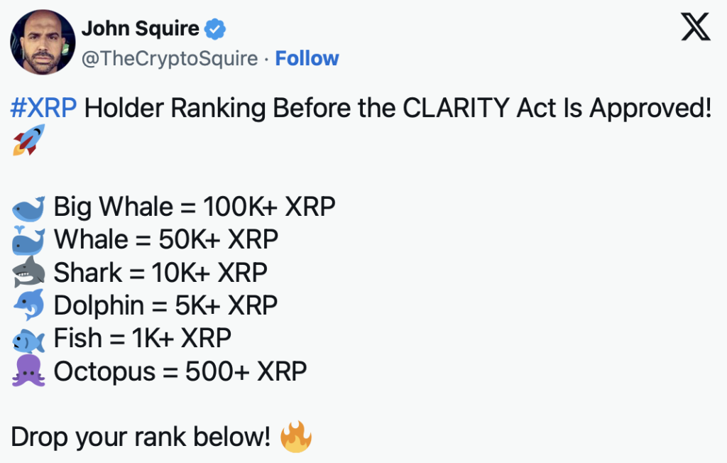 XRP Crypto Holder Rankings Spark Neighborhood Buzz – Right here Is Why Timing Issues – BlockNews XRP Crypto Holder Rankings Spark Neighborhood Buzz – Right here Is Why Timing Issues – BlockNews