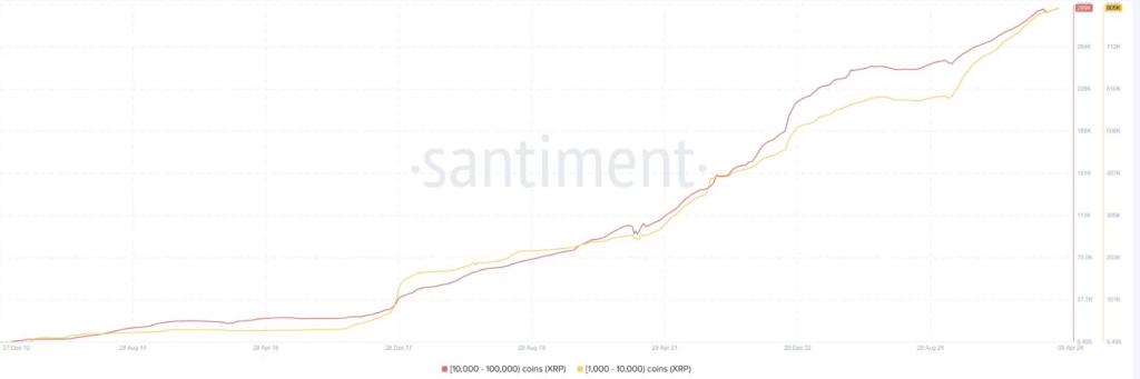 XRP Crypto Rally Begins – Right here Is Why ETF Inflows and Whales Are Driving Momentum – BlockNews XRP Crypto Rally Begins – Right here Is Why ETF Inflows and Whales Are Driving Momentum – BlockNews