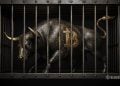 Bronze bull sculpture with a Bitcoin symbol on its side, confined inside a dark metal cage.