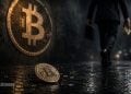 Bitcoin Rally Faces Profit-Taking Pressure Near $80K - Here Is What Comes Next for BTC