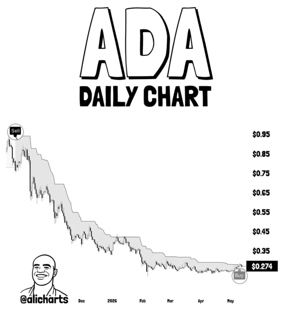 Cardano Crypto Sign Turns Bullish Once more – Right here Is Why ADA Whales Are Accumulating – BlockNews Cardano Crypto Sign Turns Bullish Once more – Right here Is Why ADA Whales Are Accumulating – BlockNews