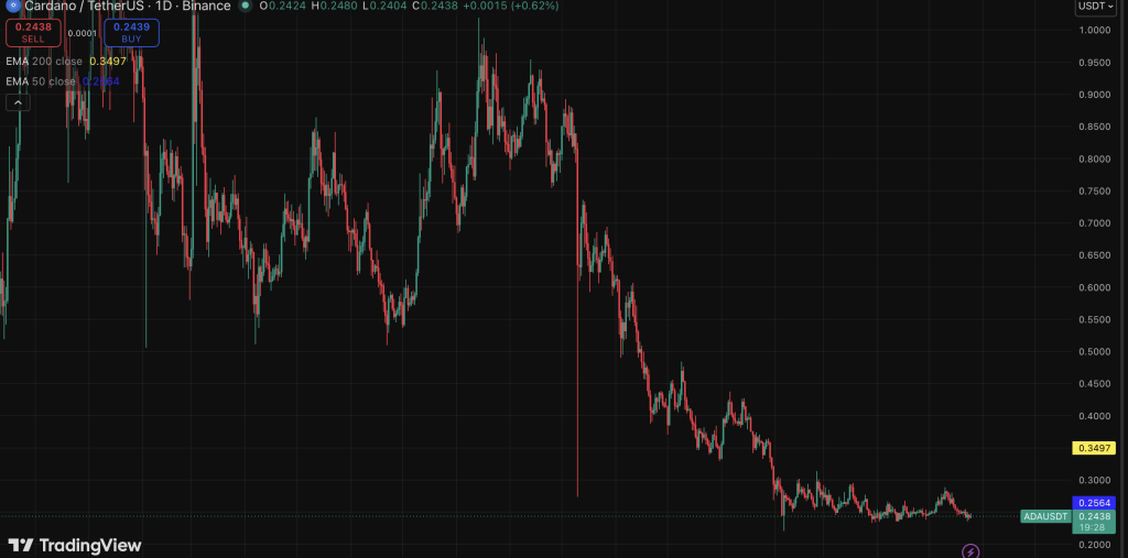 Cardano