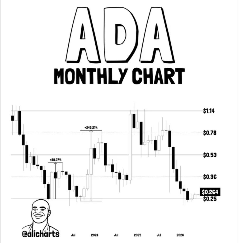 Cardano Chart