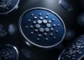Cardano Crypto Signal Turns Bullish Again - Here Is Why ADA Whales Are Accumulating