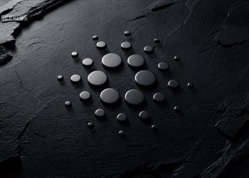 Cardano Stability Narrative in Crypto Market - Here Is Why Slow Growth Still Matters
