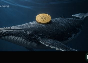 Cardano Whale Accumulation Builds in Crypto Market – Here Is Why ADA Price Remains Stuck