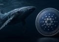 Cardano Whales Accumulate Record ADA Holdings as Crypto Price Stays Weak – Here Is Why Investors Are Watching Closely