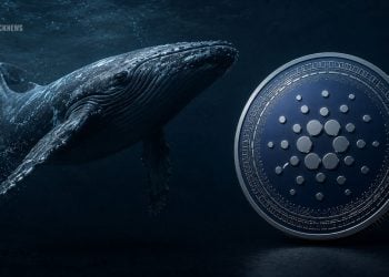 Cardano Whales Accumulate Record ADA Holdings as Crypto Price Stays Weak – Here Is Why Investors Are Watching Closely