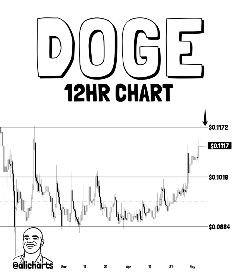 Doge