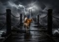 Dogecoin Crypto Holds Critical Support - Here Is Why DOGE Traders Still See Breakout Potential