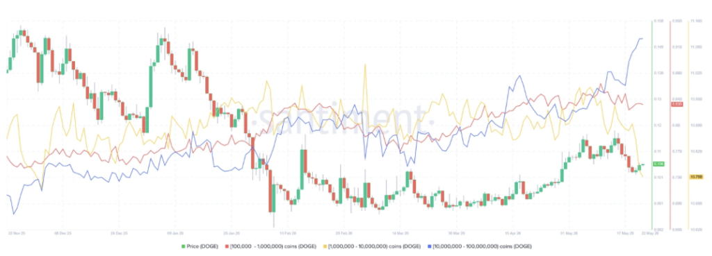 Dogecoin supply distribution chart.
