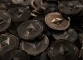 Ethereum Crypto Holds Critical Support as Whales Accumulate – Here Is Why Analysts See a $6K Path