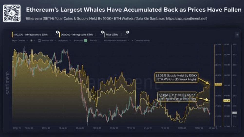 Ethereum largest whales