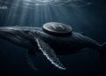 HBAR Crypto Sees Whale Accumulation and Volume Spike – Here Is What Could Drive the Next Breakout