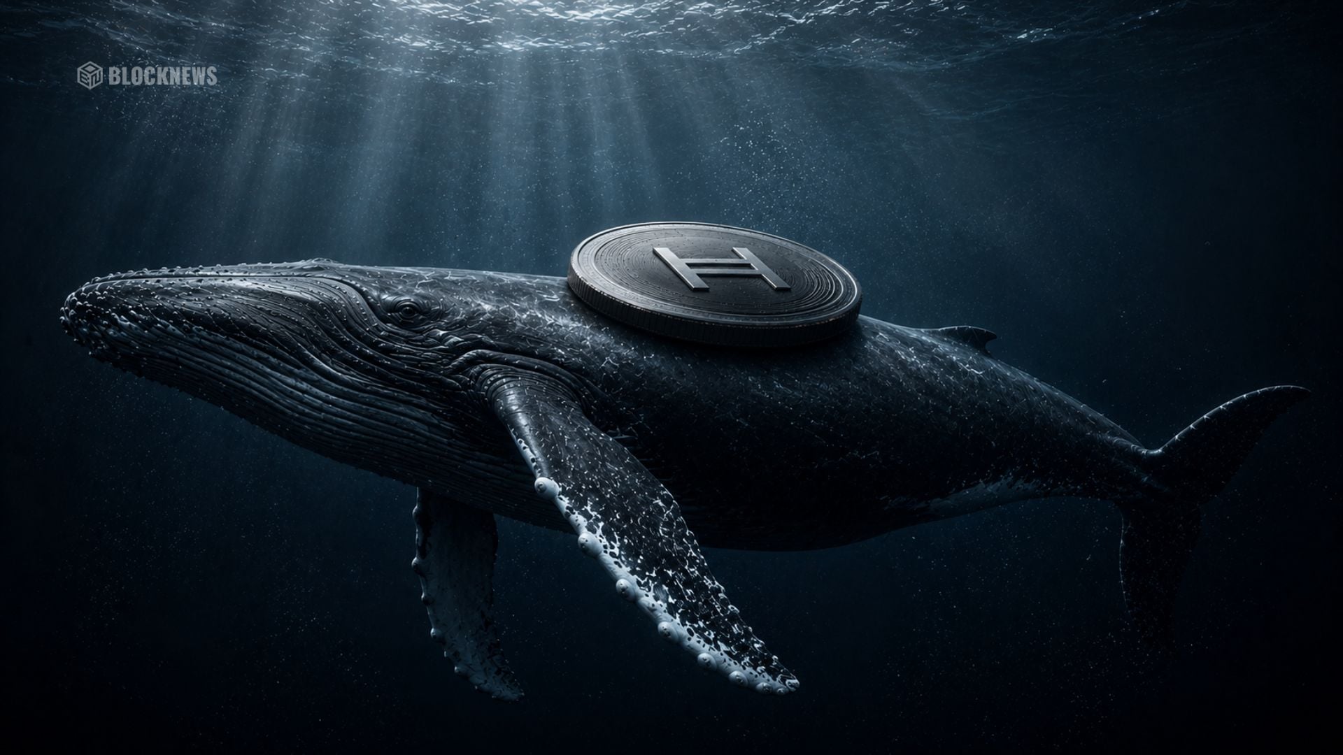HBAR Crypto Sees Whale Accumulation and Volume Spike – Here Is What Could Drive the Next Breakout