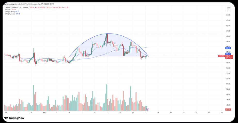 Crypto Merchants Watch Litecoin Intently as LTC Momentum Weakens – Right here Is the Newest Outlook – BlockNews Crypto Merchants Watch Litecoin Intently as LTC Momentum Weakens – Right here Is the Newest Outlook – BlockNews
