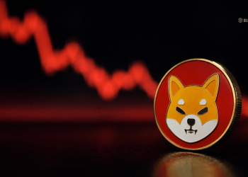 Shiba Inu Crypto Struggles Continue – Here Is Why SHIB Has Lost Momentum