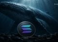 Solana Crypto Price Surges as Whales Return - Here Is Why Traders Are Watching $97 Closely