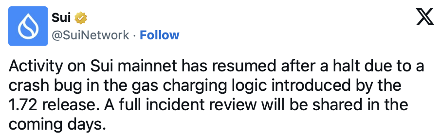 Sui Outage