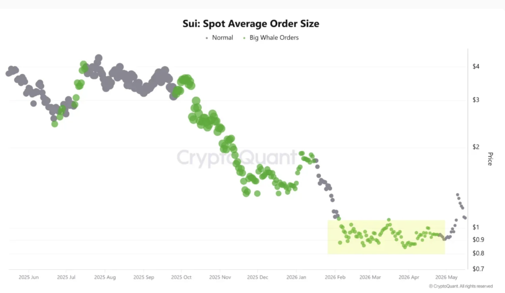 SUI Spot Average Order Size