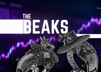the Beaks Sell out Fast As Nft Art Collectors Start Paying Attention Again