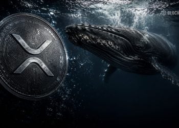 XRP Crypto Whales Trigger Major Binance Shift Below $1.40 – Here Is Why Traders Are Watching Closely