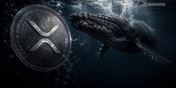 XRP Crypto Whales Trigger Major Binance Shift Below $1.40 – Here Is Why Traders Are Watching Closely