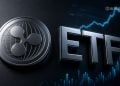 XRP ETF Inflows Recover in Crypto Market - Here Is Why Price Still Lags Behind