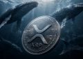 XRP Leads Crypto Rally as Whale Buying Explodes - Here Is Why Traders Are Watching Closely